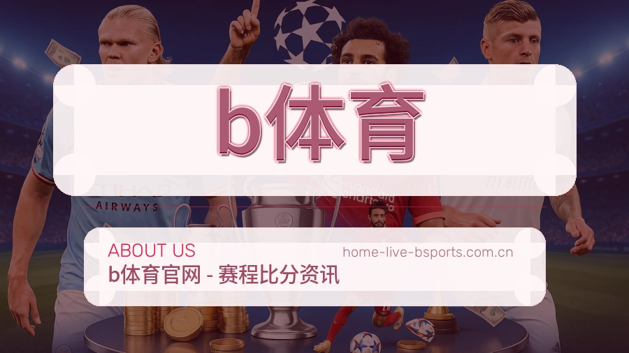 b体育关于体系
