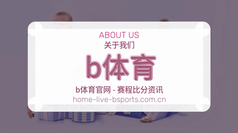b体育平台简介